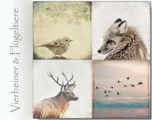 kategorie tierwelt, von vierbeinern und flügeliere